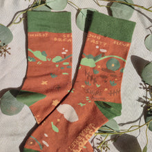 Load image into Gallery viewer, Shire Socks
