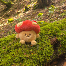 Load image into Gallery viewer, Mushroom Plushies - Plushie Bag Charm Keychain
